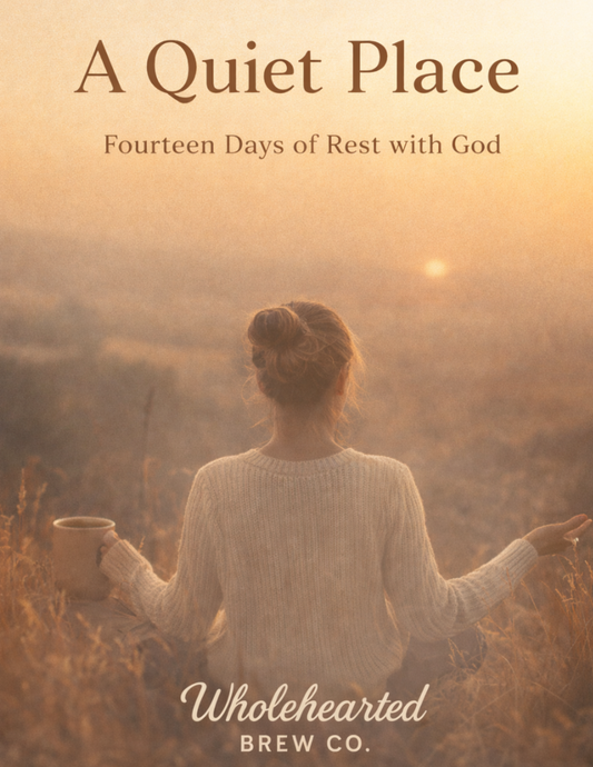 A Quiet Place: Fourteen Days of Meeting God Where You Are